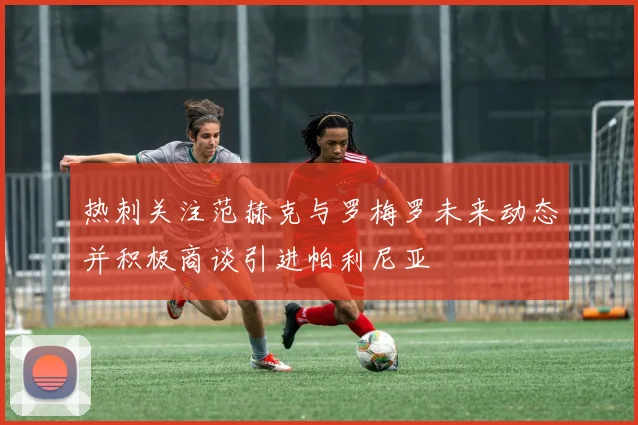 热刺关注范赫克与罗梅罗未来动态并积极商谈引进帕利尼亚